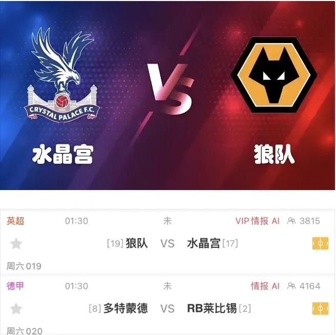 韦德体育网址-狼队主场继续不败纪录，战胜水晶宫