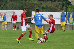 韦德最新地址-西雅图海湾者新援适应良好，世俱杯表现备受期待